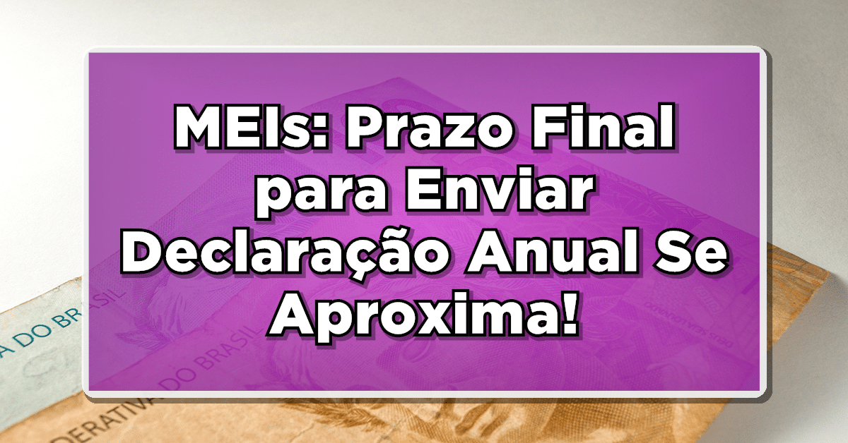 declaração mei