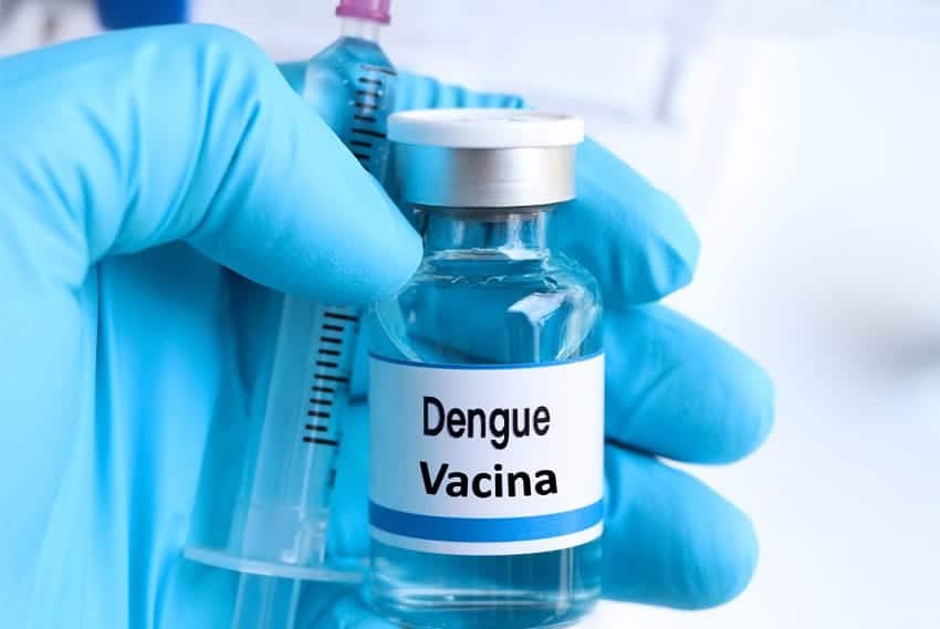 Vacina contra a dengue começa a ser distribuída (Fonte: Reprodução Google)