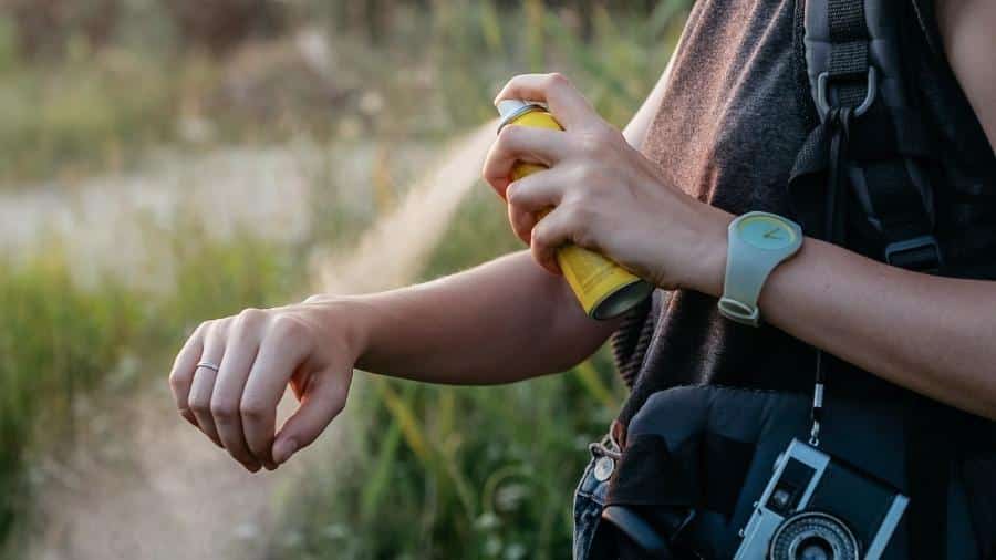 Anvisa divulga lista de repelentes eficazes contra mosquito da dengue. (Fonte: Reprodução Freepik)
