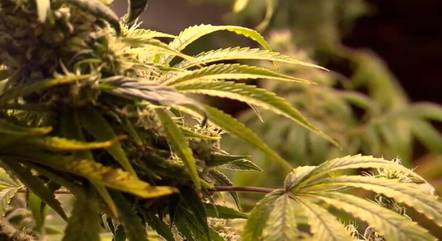 Aprovada a PEC contra a legalização do porte de drogas.