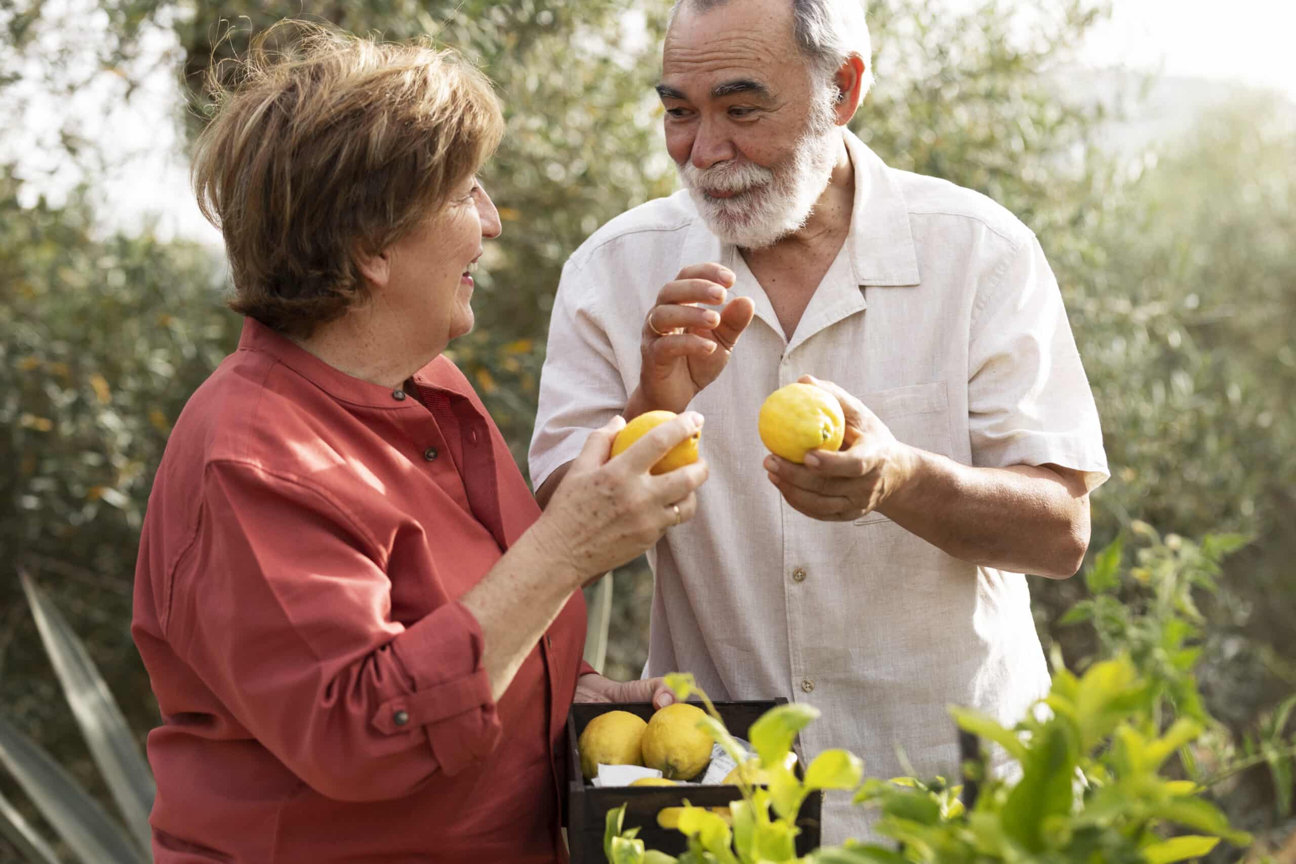Saiba quais são os principais alimentos que beneficiam a saúde dos idosos e confira receitas incríveis e ricas de nutrientes.