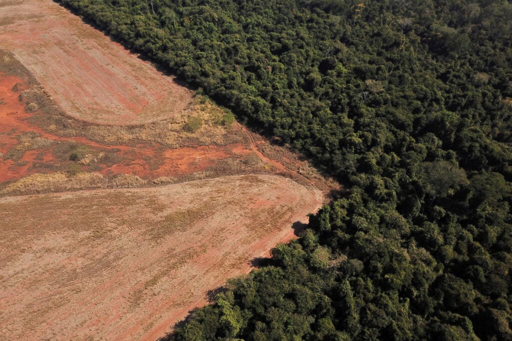 Desmatamento do cerrado no Brasil. (Fonte: Reprodução Google). Fonte: Reprodução Google).