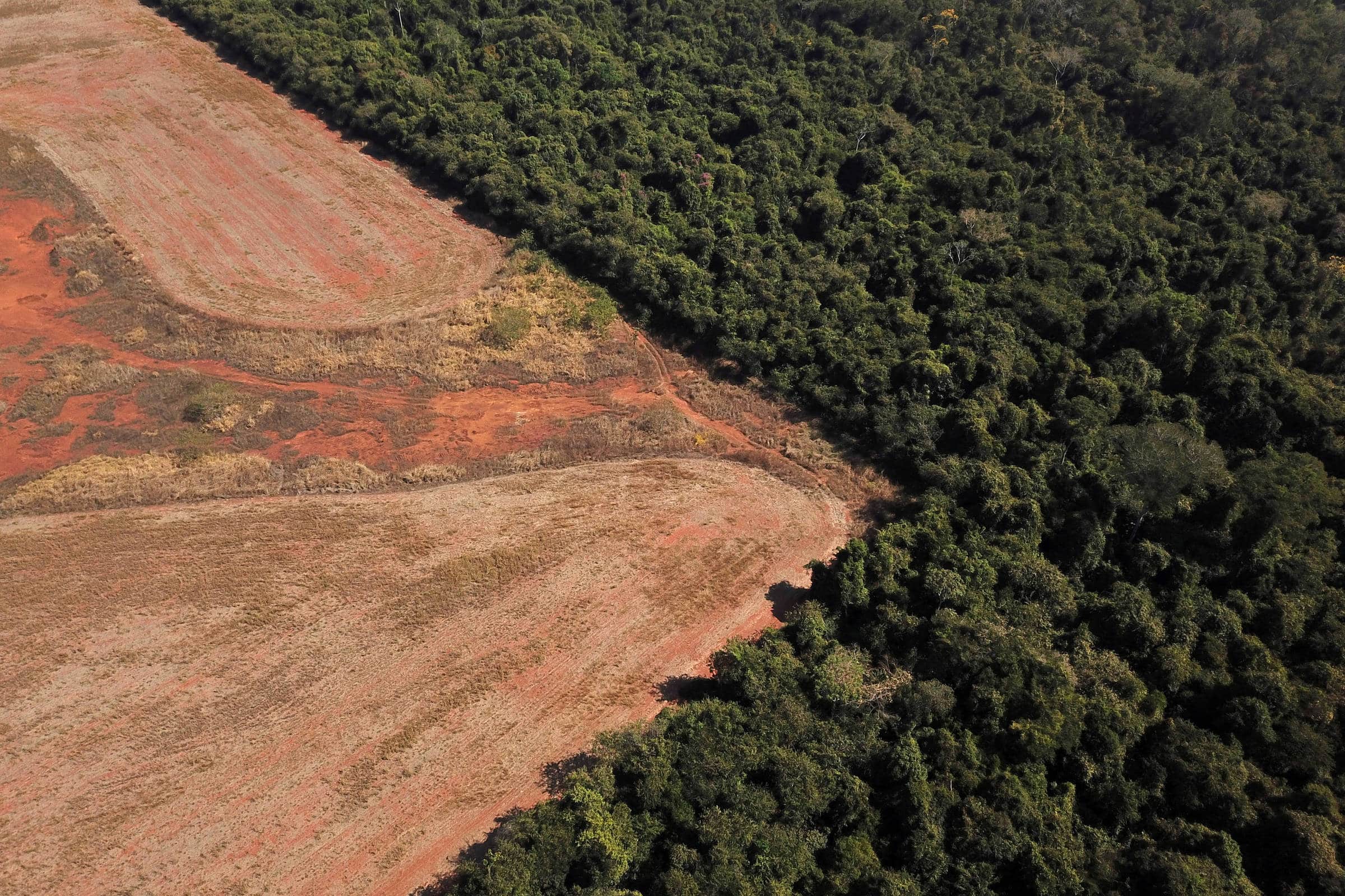 Desmatamento do cerrado no Brasil. (Fonte: Reprodução Google). Fonte: Reprodução Google).
