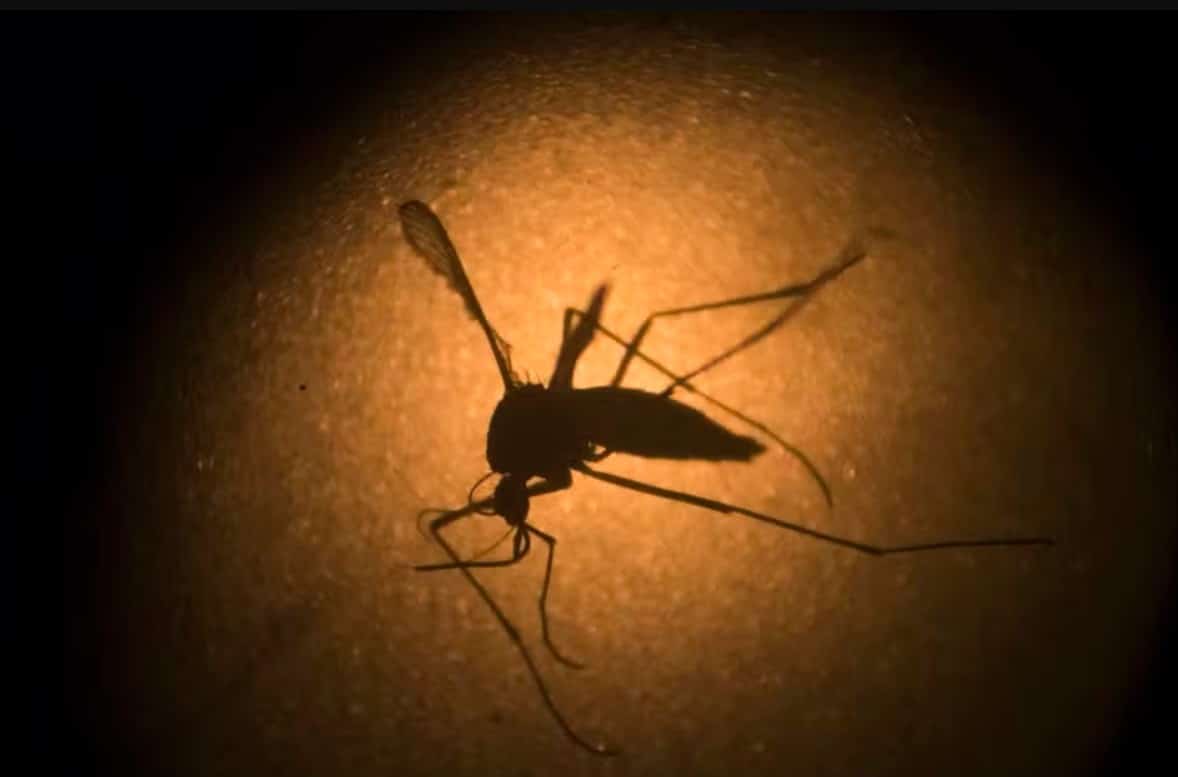 Surto de dengue avança no Brasil