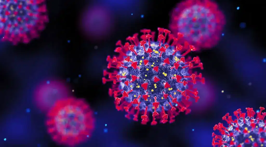 Pesquisadores identificaram a presença do SARS-CoV-2 nas células reprodutivas masculinas por meio de microscopia, apesar de os exames de PCR não terem detectado o vírus no sêmen. (Fonte: Reprodução Google).

