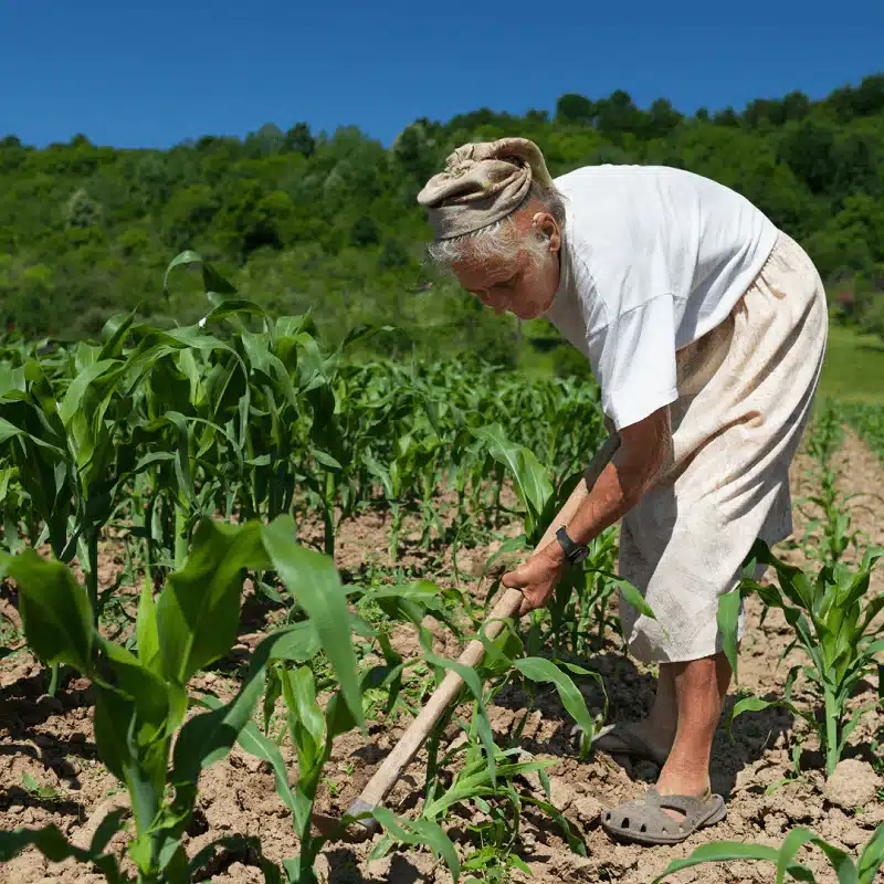 Projeto pode aprovar nova aposentadoria rural para mulheres donas de casa!