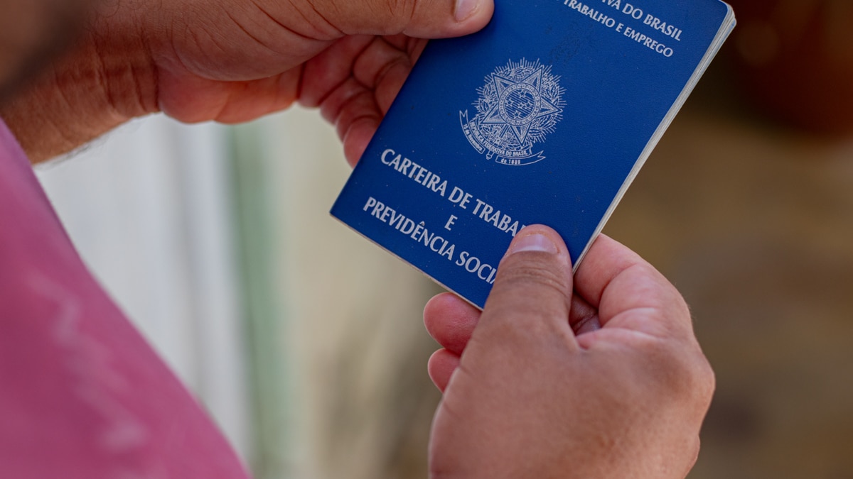 mão segurando carteira de trabalho