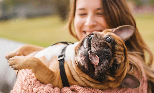 Censo demográfico pode coletar dados de animais de estimação.