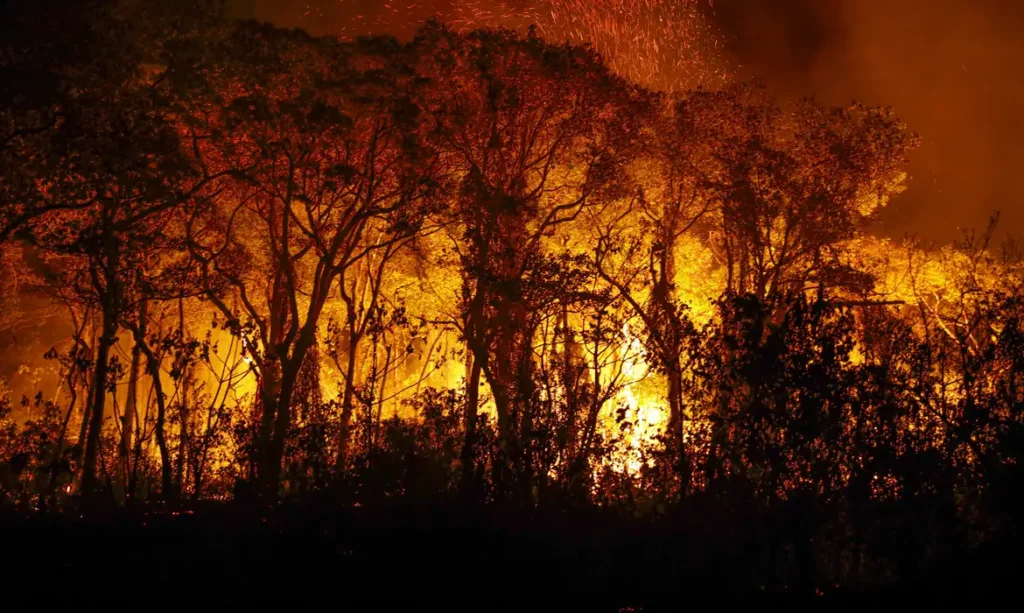 Incêndio no Pantanal. (Fonte: Reprodução Google).