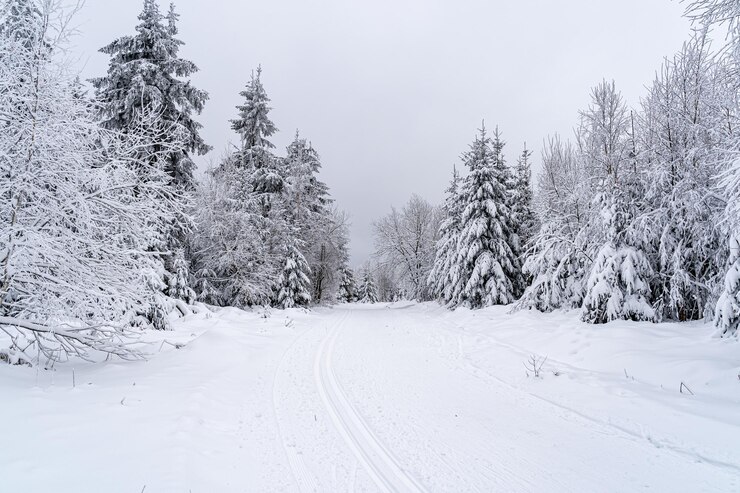 Paraíso tem neve e geada várias vezes ao ano