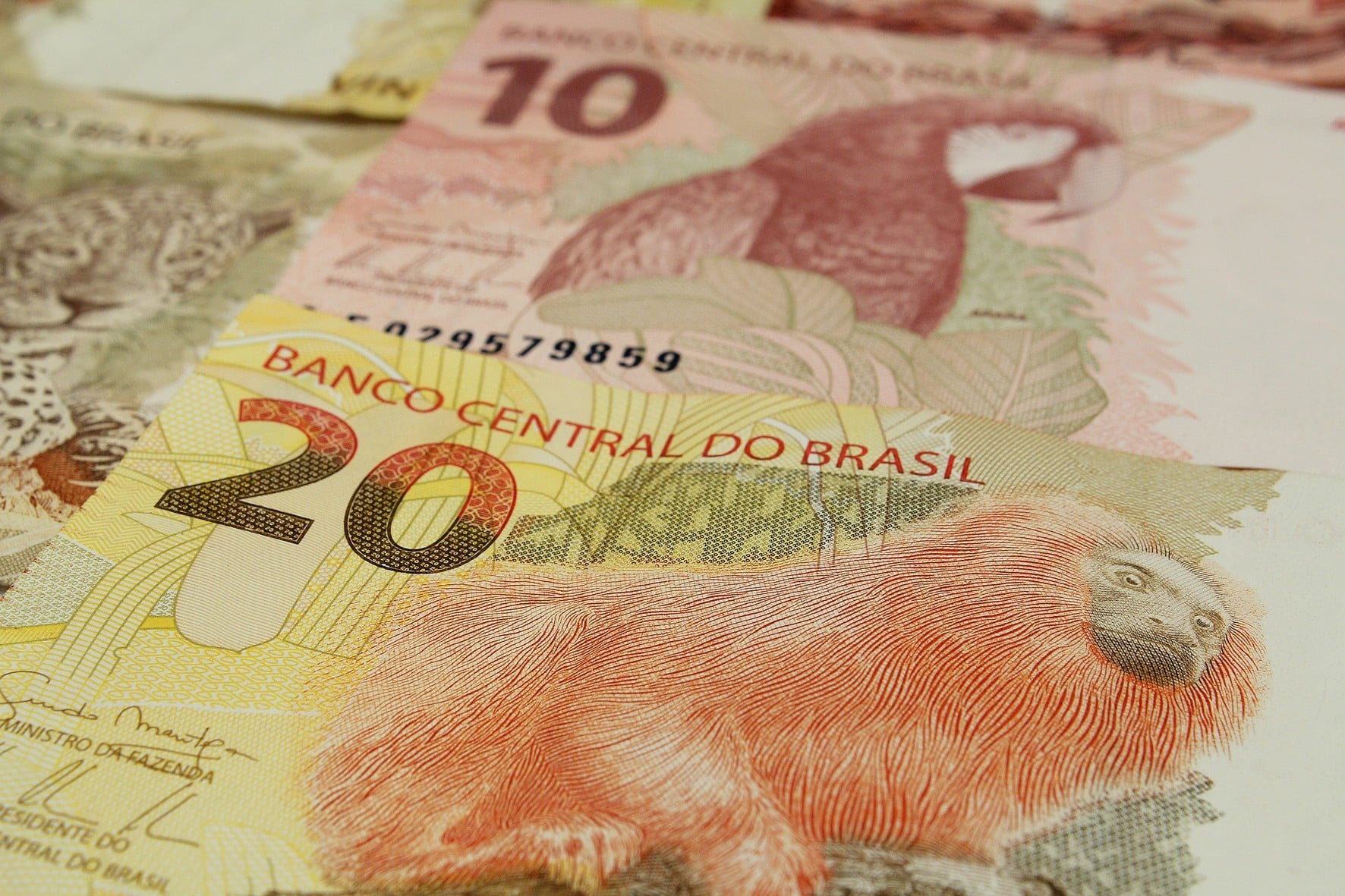 cédulas de 20 e 10 reais