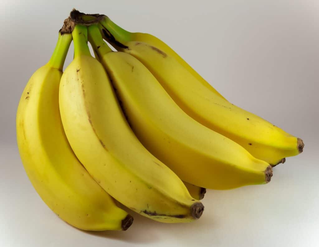 ALERTA: 24 Alimentos que Causam Gases Para Evitar na Sua Rotina!