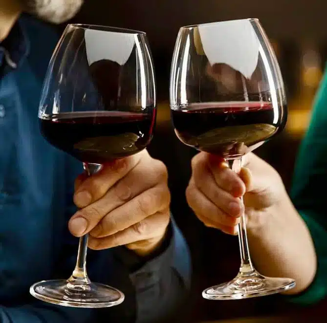 UMA TAÇA DE VINHO AO DIA NÃO É TÃO SAUDÁVEL quanto VOCÊ PENSA!