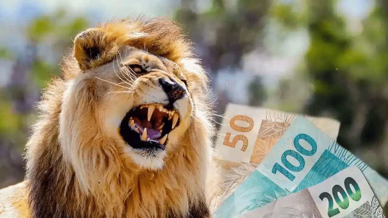 Segundo lote do Imposto de Renda será pago a partir do dia 21