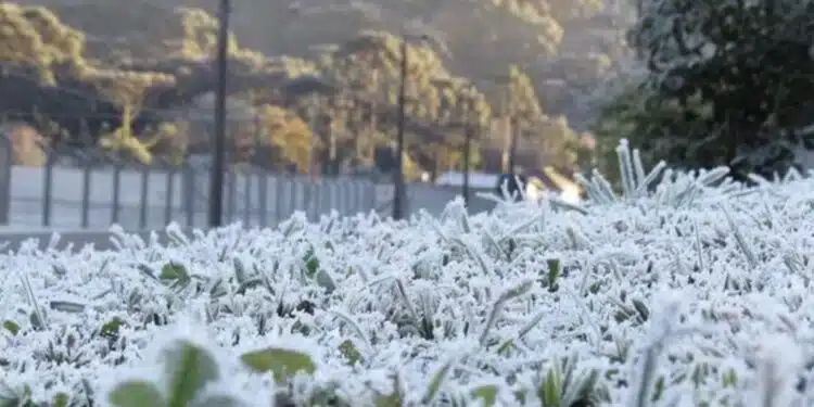 Brasil tem previsão de frio intenso esta semana, inclusive com geadas
